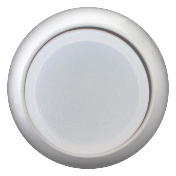 Illuminated pushbutton actuator, RMQ-Titan, Extended, maintained, White, Blank, Bezel: titanium image 4