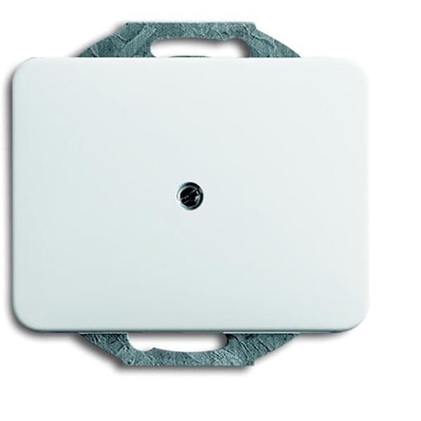 1742-24G CoverPlates (partly incl. Insert) carat® Studio white image 1