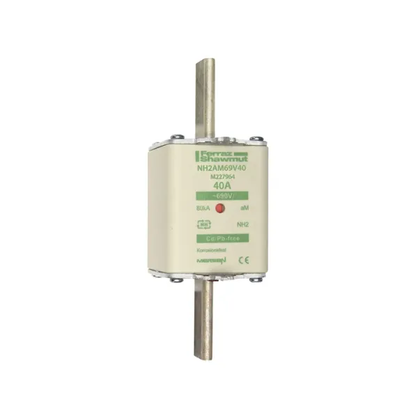 Fuse-link NH2 aM 690VAC 40A live tags Double indicator image 2