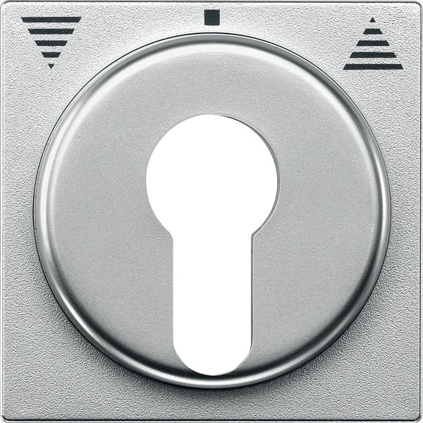 Cen.pl. f. DIN cylinder key switch inserts f. roller shut.s, aluminium, System M image 2