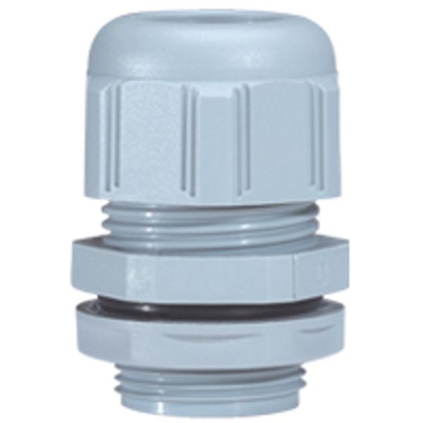 CABLE GLAND IP66 3XD 3,5-6,5 image 1