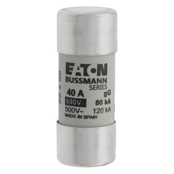 Fuse-link, LV, 40 A, AC 690 V, 22 x 58 mm, gL/gG, IEC image 6