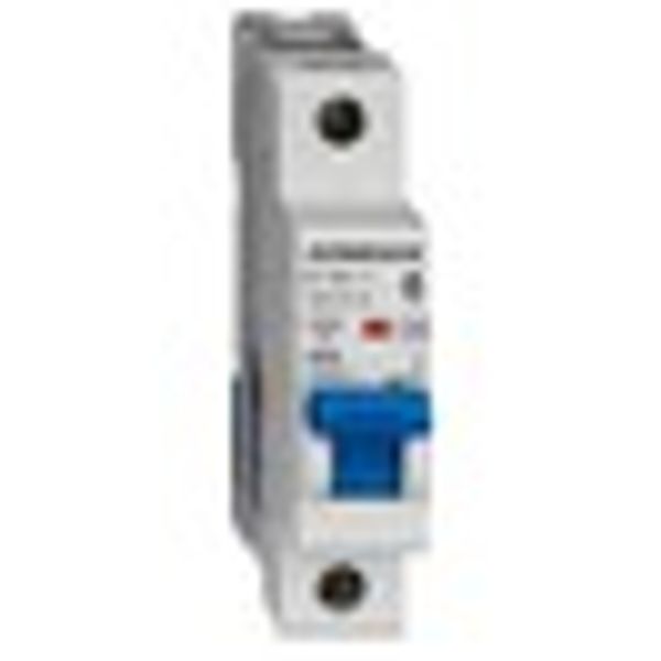 Miniature Circuit Breaker (MCB) AMPARO 10kA, D 16A, 1-pole image 7