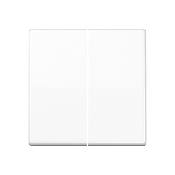 Standard center plate for dimmer ABAS1565.07WW image 2