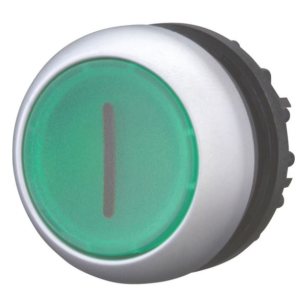 Illuminated pushbutton actuator, RMQ-Titan, Flush, momentary, green, inscribed, Bezel: titanium image 6