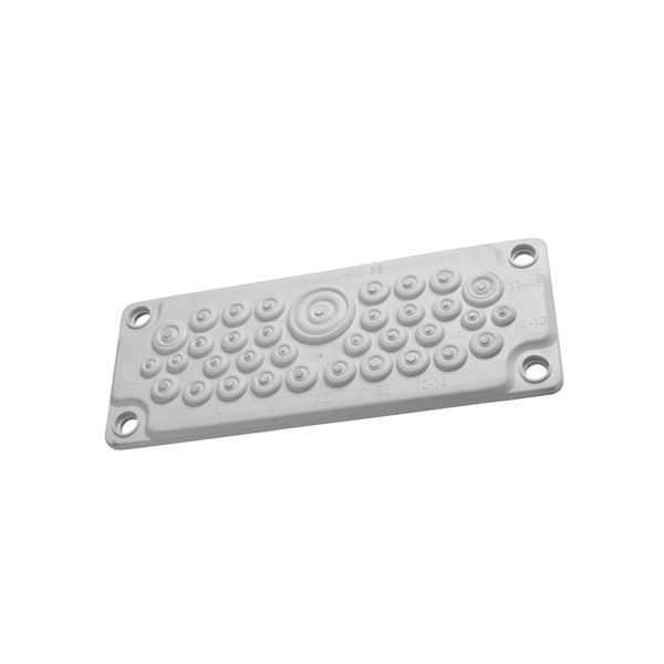 Plastic gland plate for WSTVBF, 35 cable glands, IP65 image 1