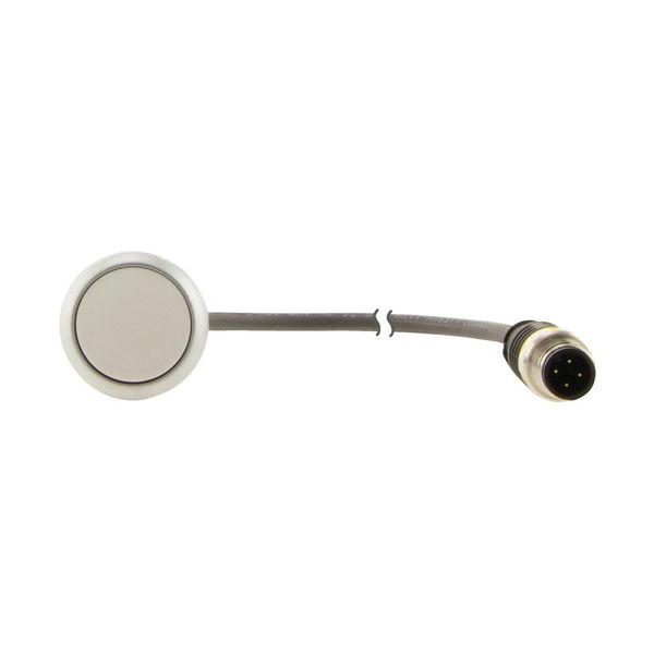 Pushbutton, Flat, momentary, 1 N/O, Cable (black) with M12A plug, 4 pole, 0.5 m, White, Blank, Bezel: titanium image 13