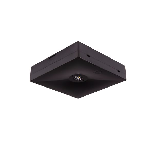 Starlet QUAD LED SC 250 A 1H MT [BLK] image 1