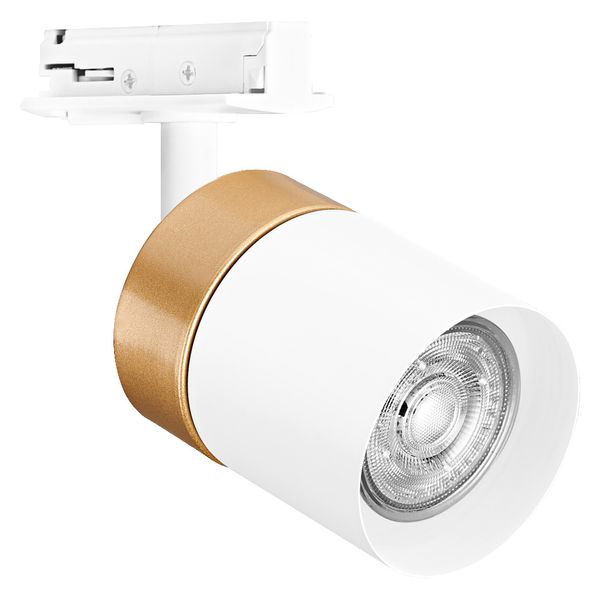 TRACKLIGHT SPOT CYLINDER GOLD GU10 WHITE image 8