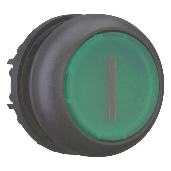 Illuminated pushbutton actuator, RMQ-Titan, Flush, maintained, green, inscribed, Bezel: black image 6