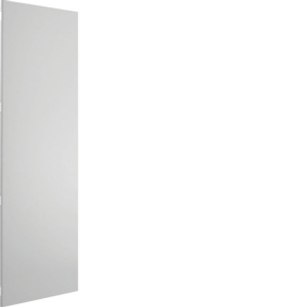 Steel plate door for MSD without lock IP41 800x2200 RAL7035 image 1