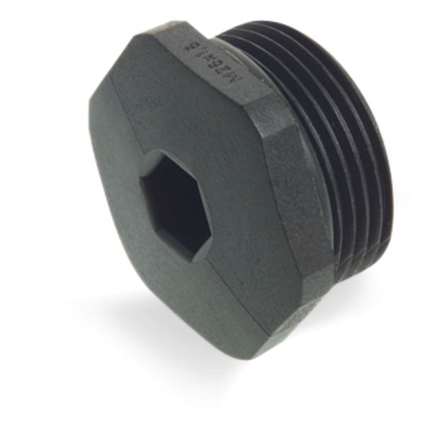 Filler plug M25 x 1.5 with O-ring Plastic black image 1