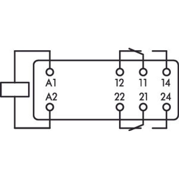 Basic relay Nominal input voltage: 24 VDC 2 changeover contacts image 3