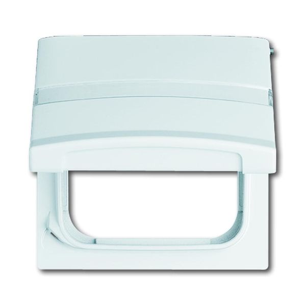 2118 GKN-34 CoverPlates (partly incl. Insert) Flush-mounted, water-protected, special connecting devices Alpine white image 1