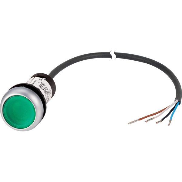 Illuminated pushbutton actuator, Flat, momentary, 1 N/O, Cable (black) with non-terminated end, 4 pole, 1 m, LED green, green, Blank, 24 V AC/DC, Beze image 3