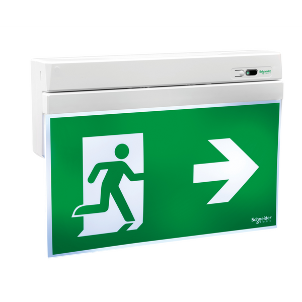 Emergency exit sign, Exiway Smartexit Activa, self-diagnostics, maintained, 24 m, 3 h image 5