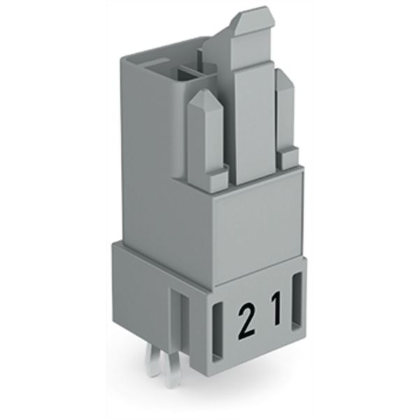 Plug for PCBs straight 2-pole gray image 2