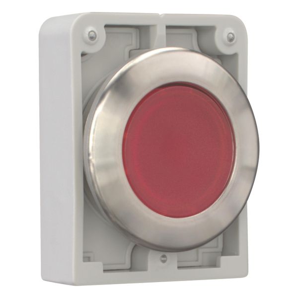 Illuminated pushbutton actuator, RMQ-Titan, flat, maintained, red, blank, Front ring stainless steel image 14