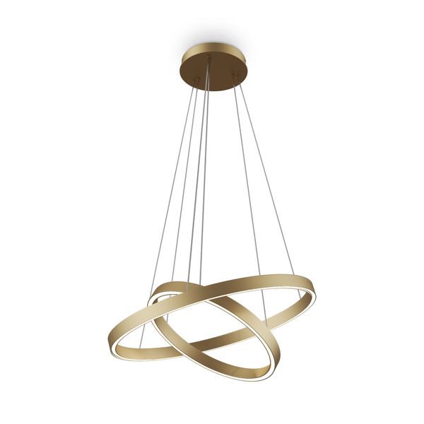 Modern Rim Pendant lamp Brass image 1