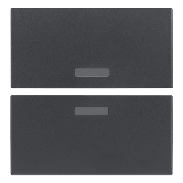 Two half-buttons 2M w/o symbol grey image 1