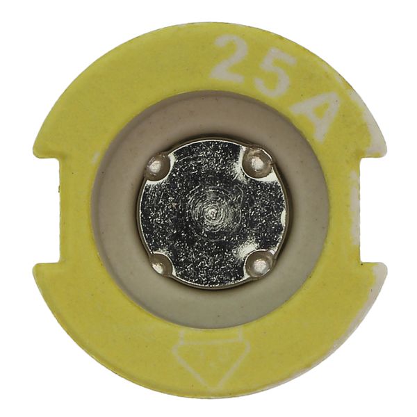 Gauge piece, LV, 25 A, AC 500 V, D2, IEC image 29