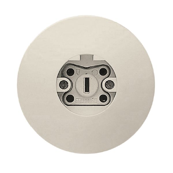 PERILEX flush mounted socket, 25 A, white image 1