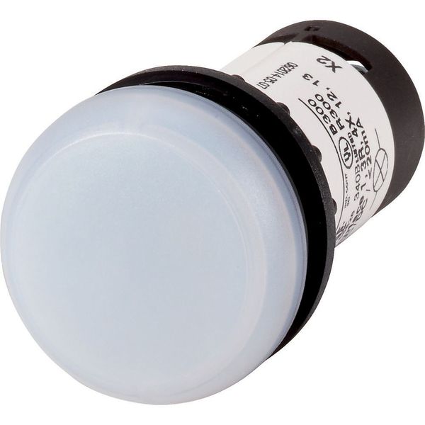 Indicator light, Flat, Screw connection, Lens white, LED white, 230 V AC image 3