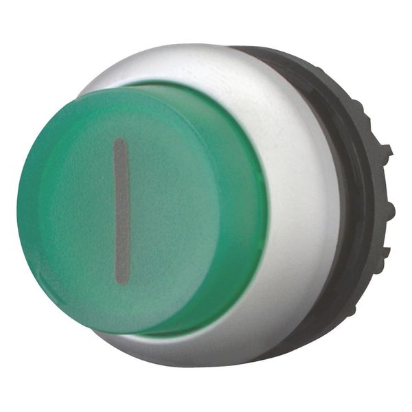 Illuminated pushbutton actuator, RMQ-Titan, Extended, maintained, green, inscribed, Bezel: titanium image 12