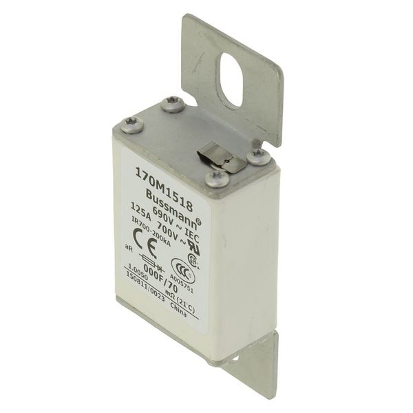 Fuse-link, high speed, 100 A, AC 690 V, size 000, 24 x 36 x 96 mm, aR, IEC, visual indicator image 23