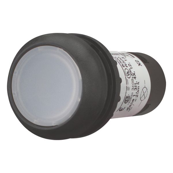 Illuminated pushbutton actuator, Flat, momentary, 1 N/O, Screw connection, LED white, White, Blank, 24 V AC/DC, Bezel: black image 2