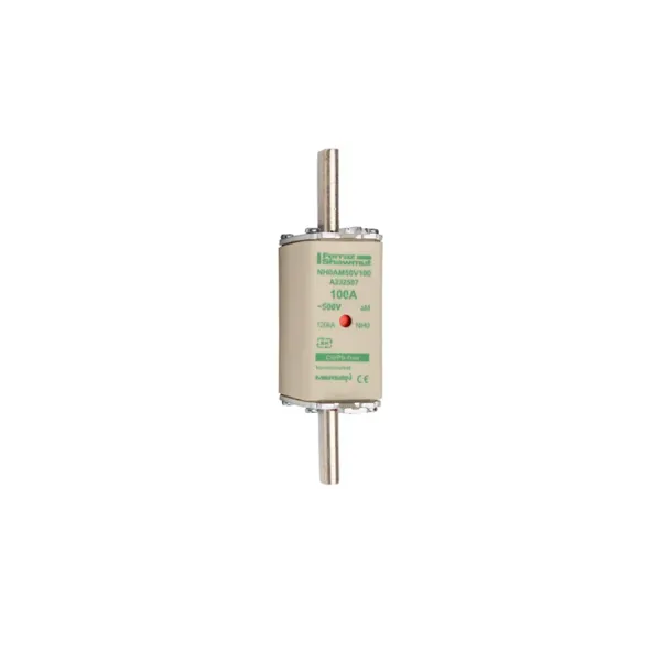 Fuse-link NH0 aM 500VAC 100A live tags Double indicator image 2