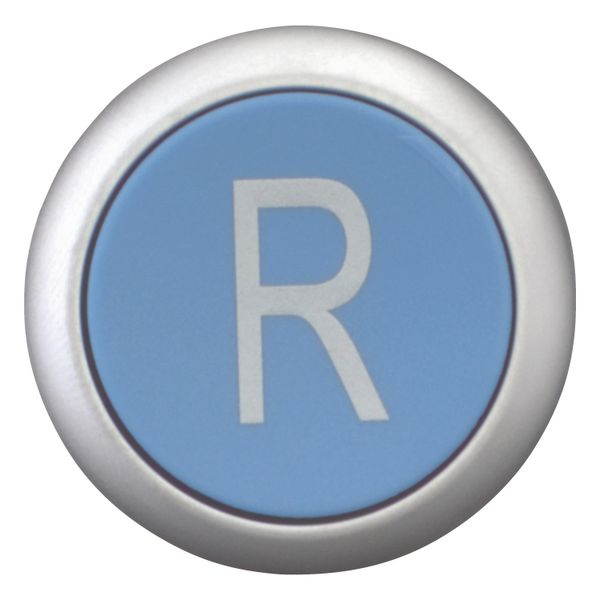 Release pushbutton, blue, R image 5