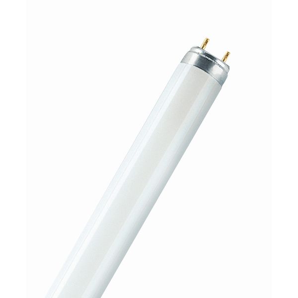 Fluorescent Bulb Luxe 18W/865 T8 NORDEON image 1
