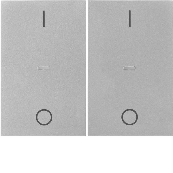Cover I/O f. 2gang f. push-b. module, clearlens, K.5, stainl. steel ma image 1