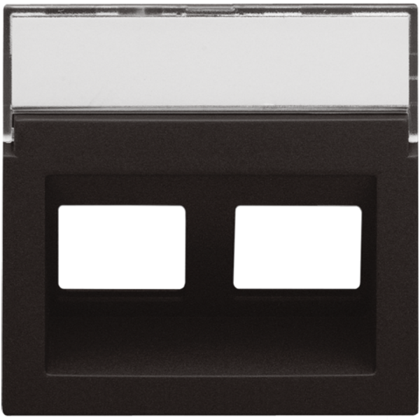 Central plate data 2x RJ oblique output, dark brown coated image 1