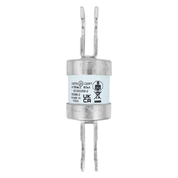 Utility fuse-link, low voltage, 160 A, AC 415 V, BS88/J, 31 x 110 mm, gL/gG, BS image 19