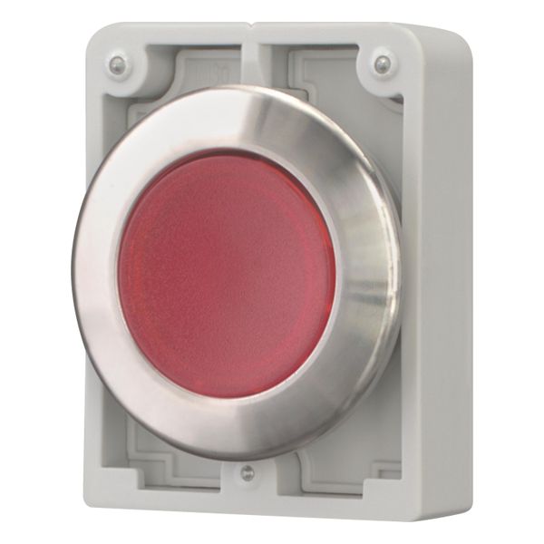 Illuminated pushbutton actuator, RMQ-Titan, flat, maintained, red, blank, Front ring stainless steel image 9