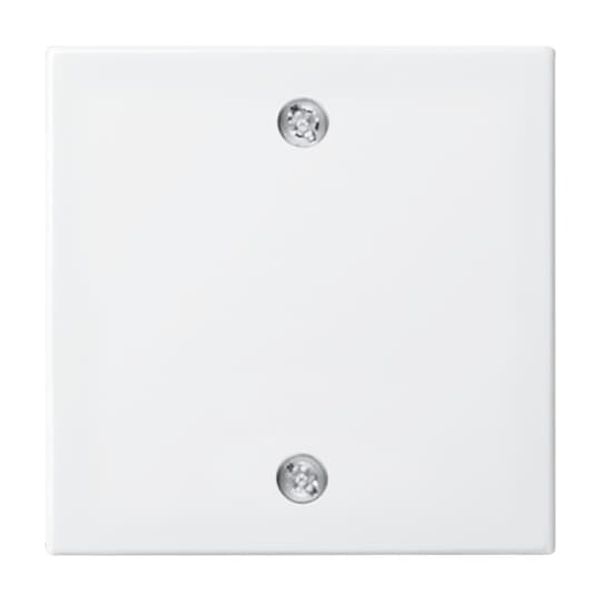 1803-914 CoverPlates (partly incl. Insert) Busch-balance® SI Alpine white image 7