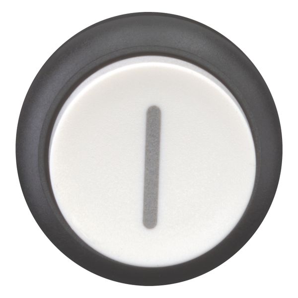 Pushbutton, RMQ-Titan, Extended, maintained, White, inscribed, Bezel: black image 12