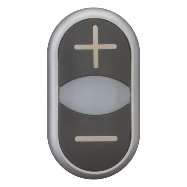 Double actuator pushbutton, RMQ-Titan, Actuators and indicator lights non-flush, momentary, White lens, black, black, inscribed, Bezel: titanium image 9