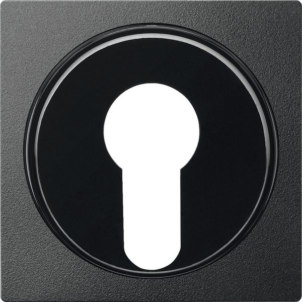 Cen.pl. f. two way key switch insert f. DIN cylinder locks, anthracite, System M image 1