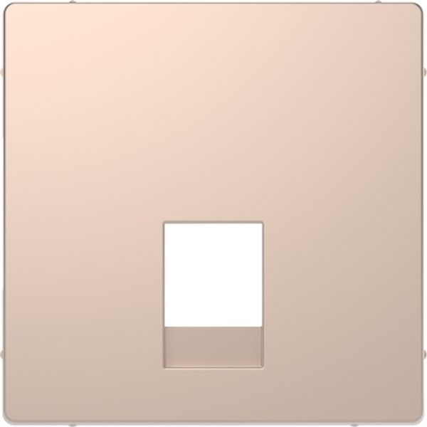 Central plate for RJ11 and RJ12 champagne, System Design image 2