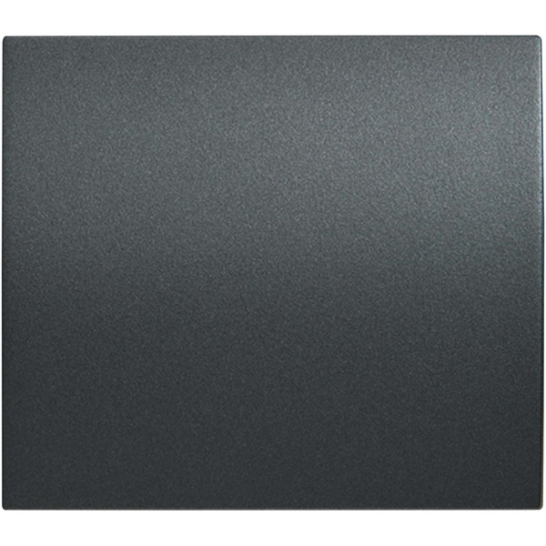 Thea Blu Accessory Black Switch image 1