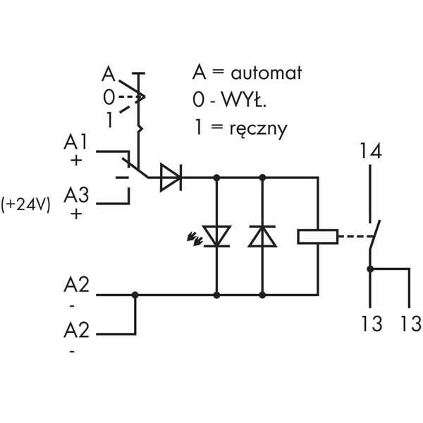 Relay module Nominal input voltage: 24 VDC 1 make contact gray image 4