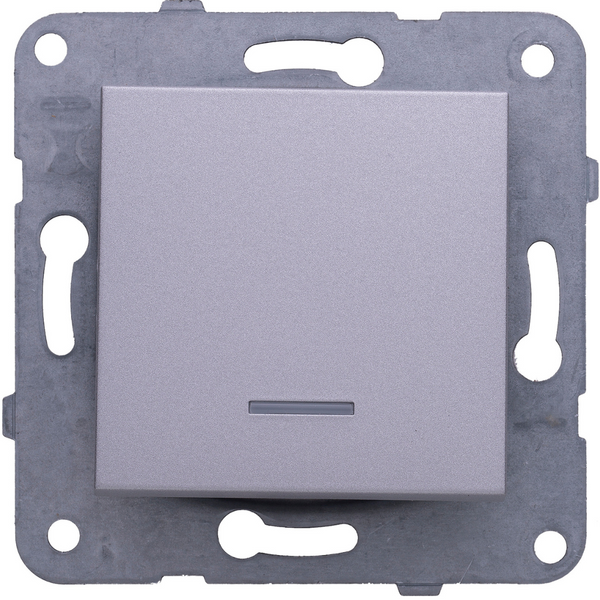 Karre Plus-Arkedia Silver Illuminated Switch image 1
