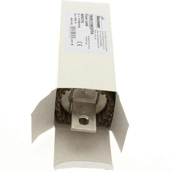 Fuse-link, LV, 250 A, AC 660 V, DC 460 V, BS88, 53 x 160 mm, gL/gG, BS image 1