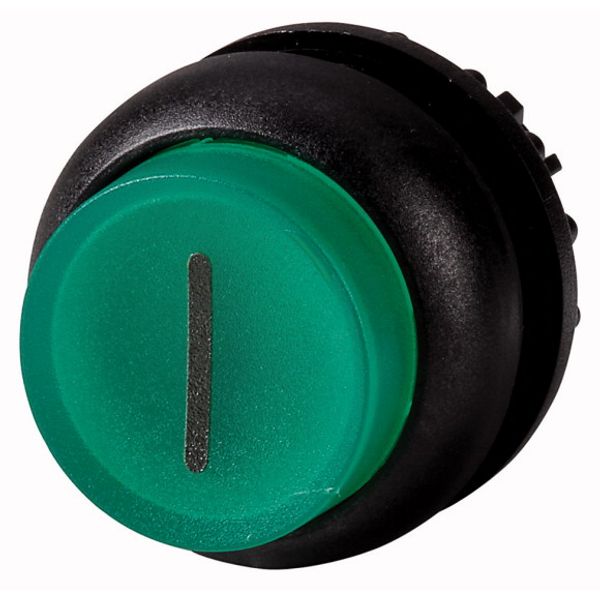 Illuminated pushbutton actuator, RMQ-Titan, Extended, maintained, green, inscribed, Bezel: black image 1