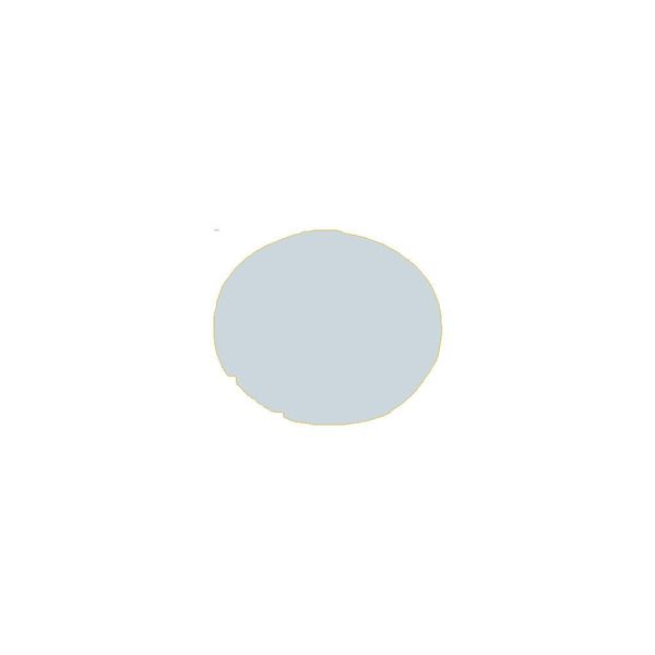 Button lens, flat white, blank image 5