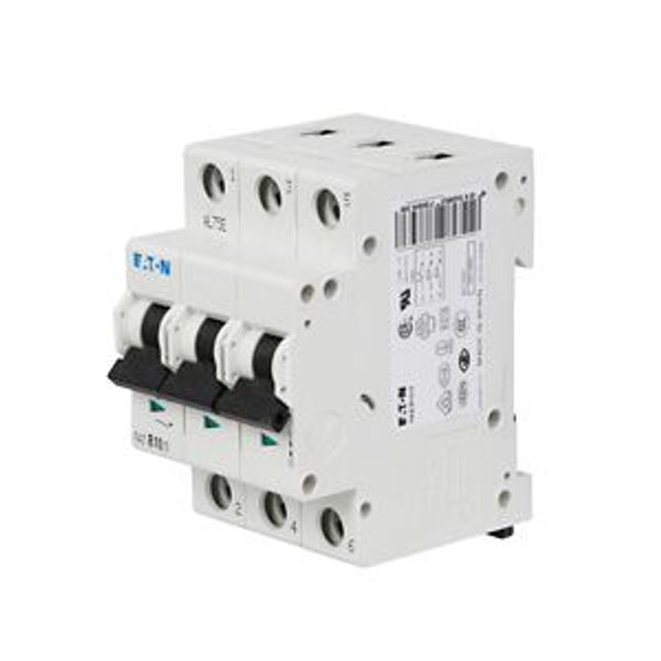 Miniature circuit breaker (MCB), 40 A, 3p, characteristic: D image 23