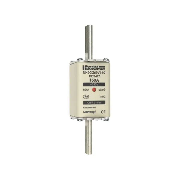 Fuse-link NH2 gG 690VAC 160A live tags Double indicator image 2